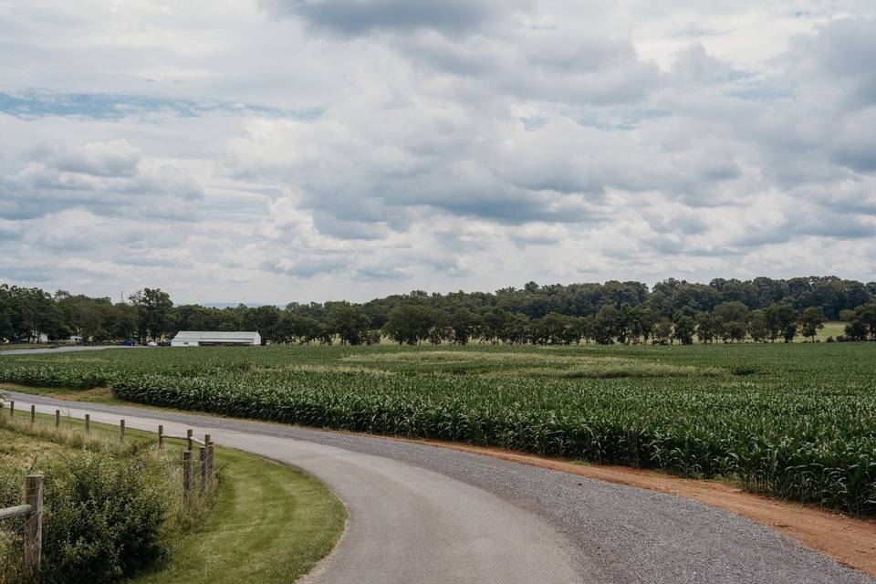 Russell Valley Farm