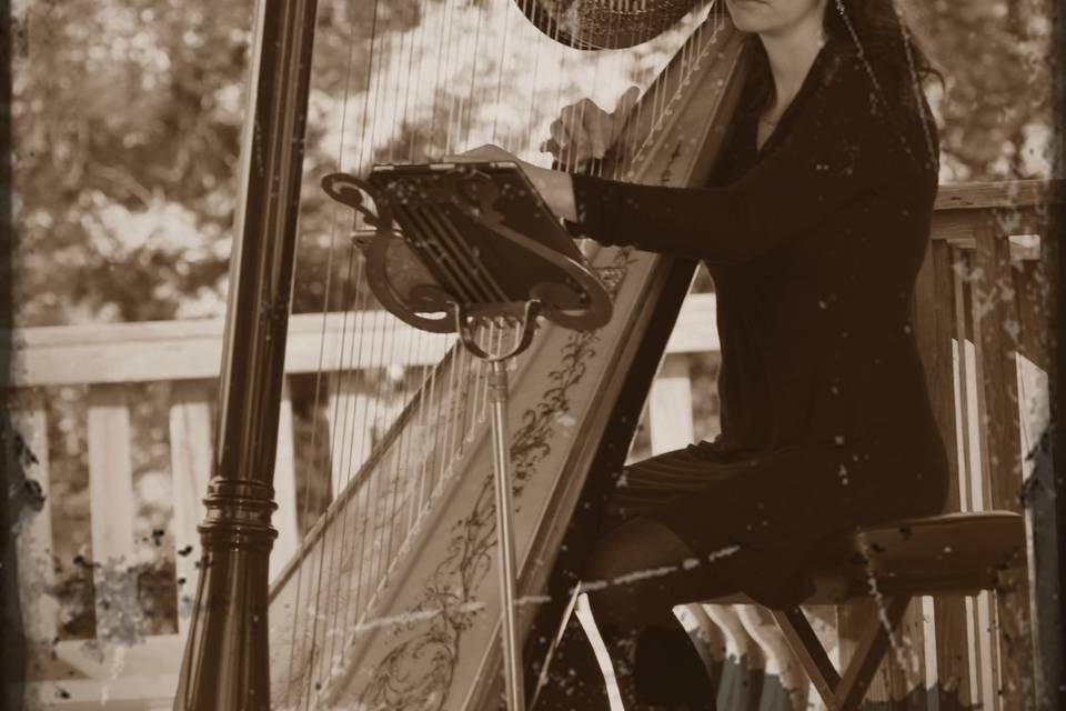 Lydia Haywood - Harpist
