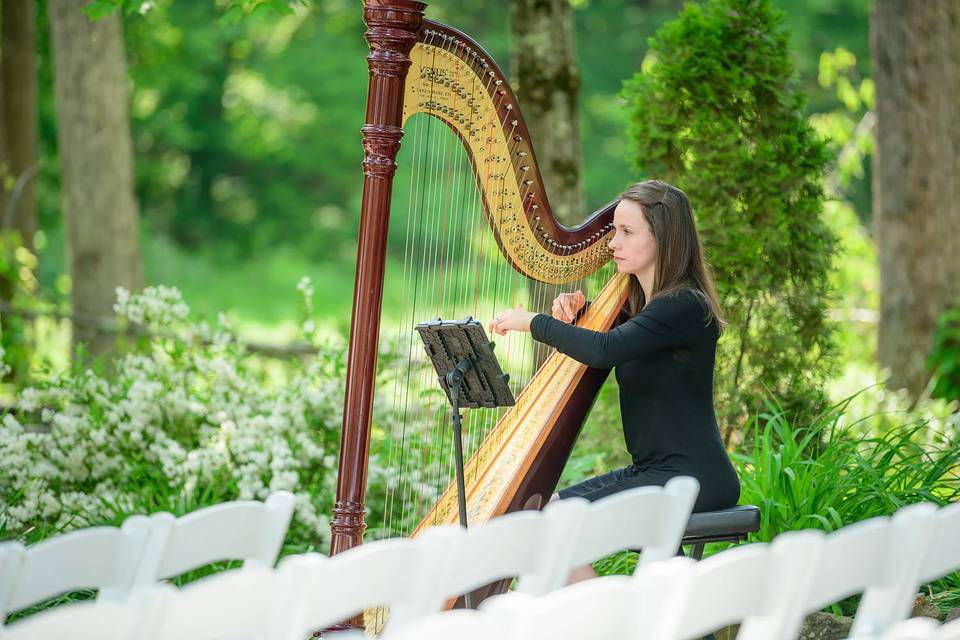 Lydia Haywood - Harpist