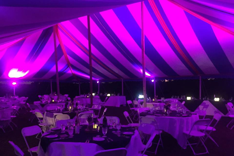 I want my tent purple!