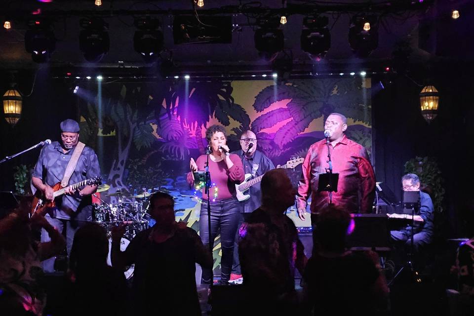 The Band
