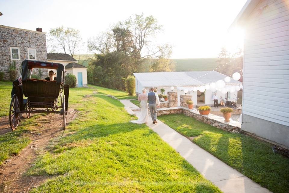 Rotunda Lauxmont Farms