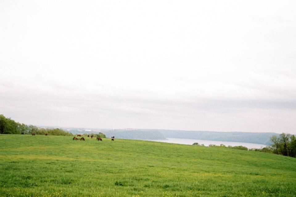 Rotunda Lauxmont Farms