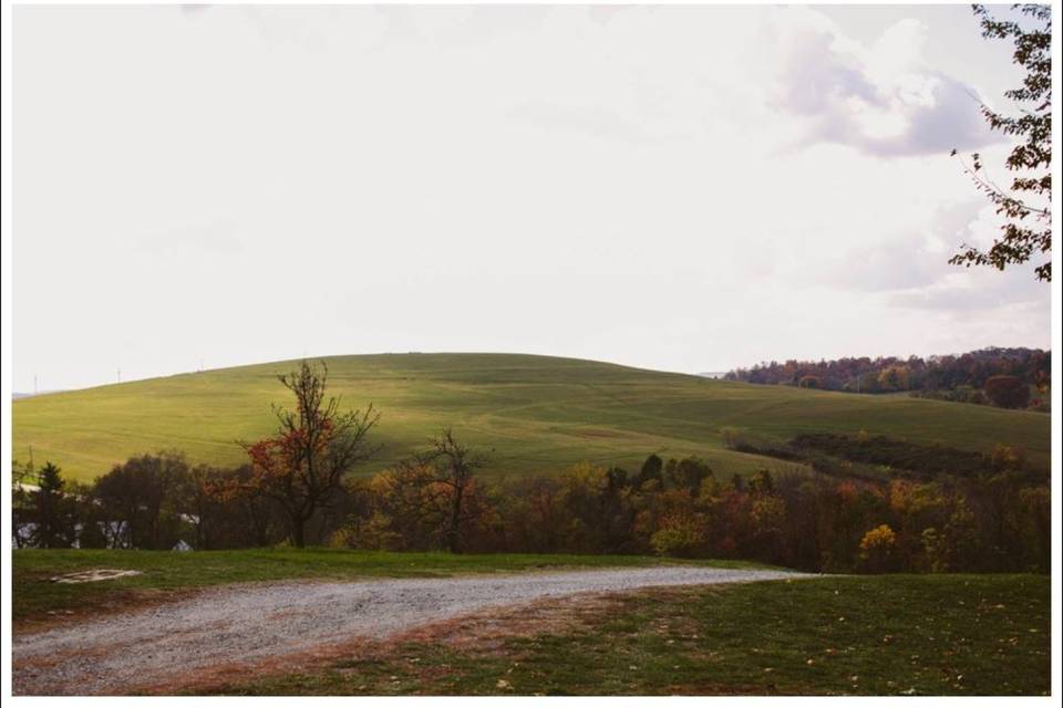 Rotunda Lauxmont Farms