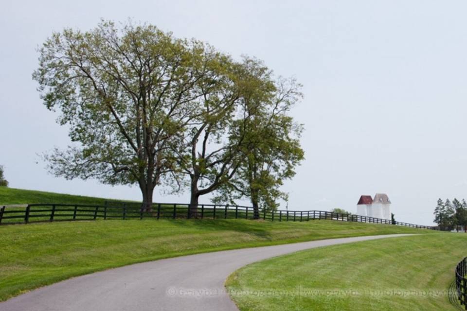 Rotunda Lauxmont Farms