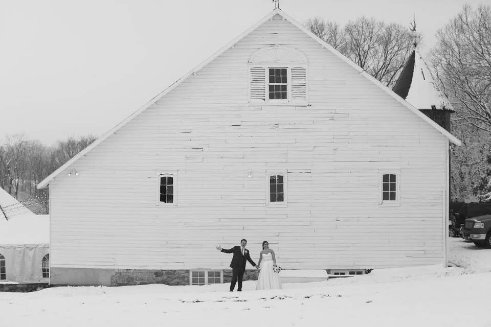 Rotunda Lauxmont Farms