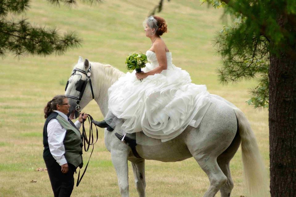 Horseback riding in elegant gown