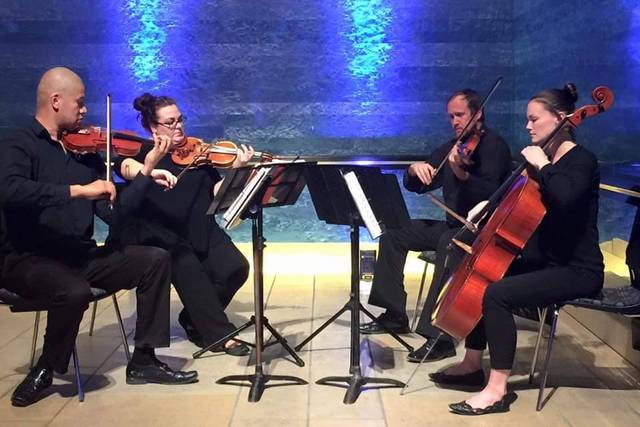 Terra Vista Strings