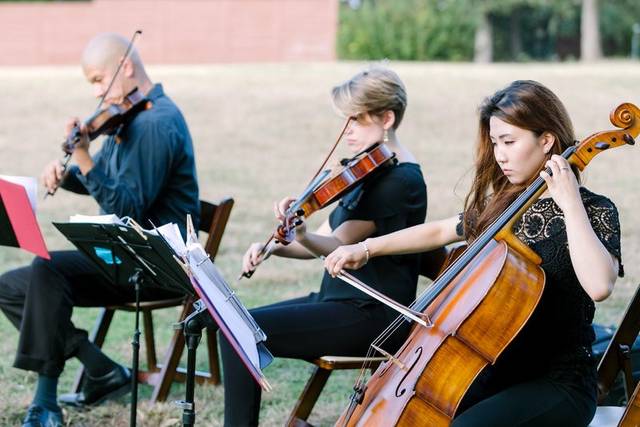 Terra Vista Strings