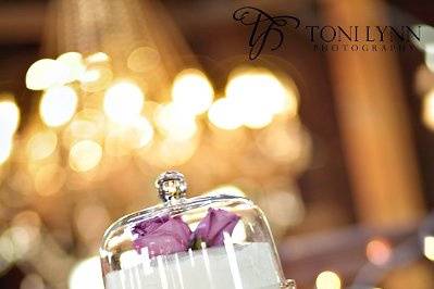 Toni Lynn Photography