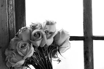 Toni Lynn Photography
