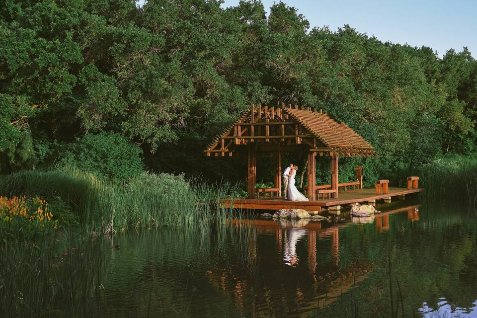 The Water Pavilion