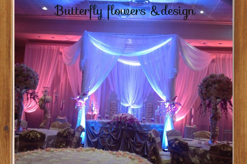 Butterfly Flowers & design