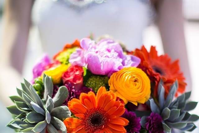 Colorful arrangement