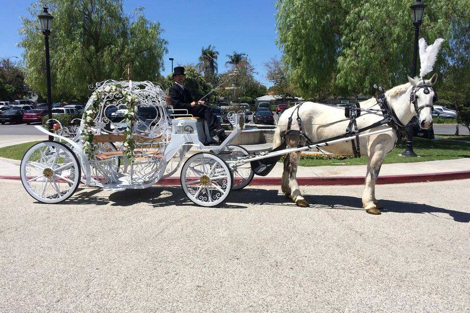 Savannah Rose Carriages