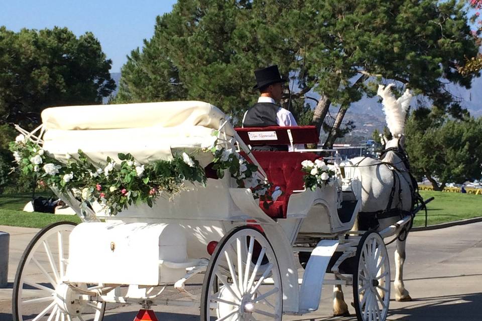 Savannah Rose Carriages