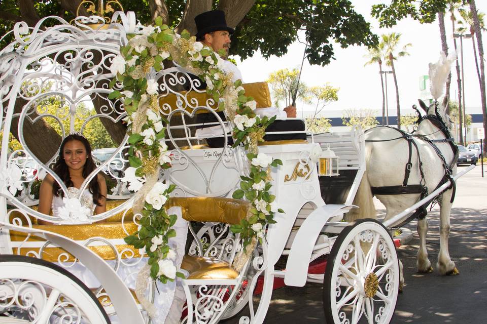 Savannah Rose Carriages