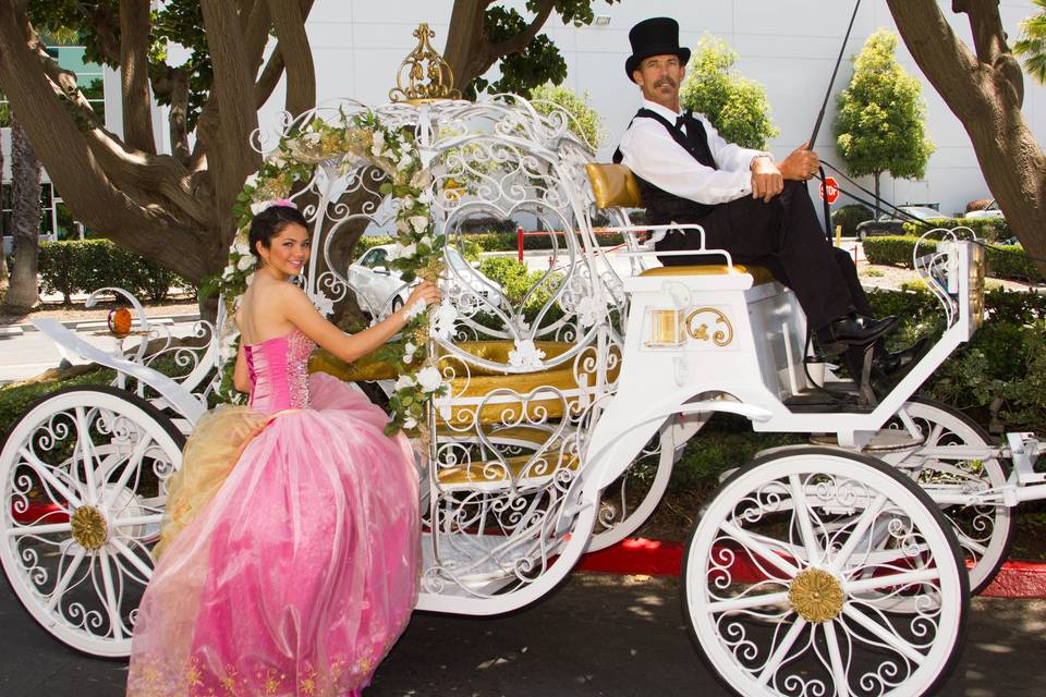 Savannah Rose Carriages