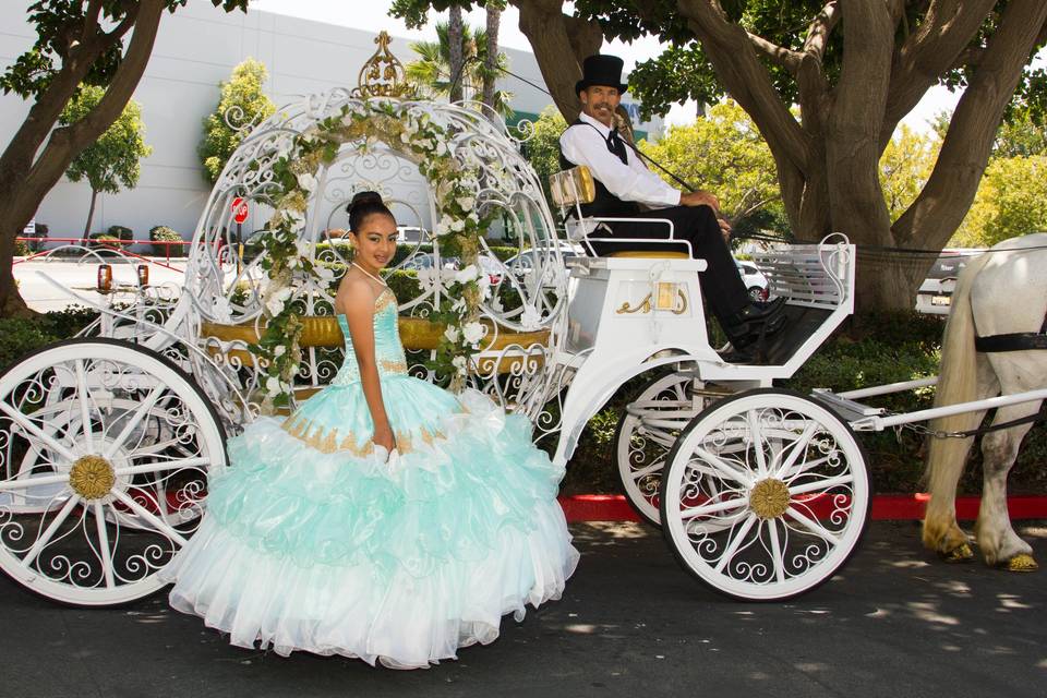 Savannah Rose Carriages