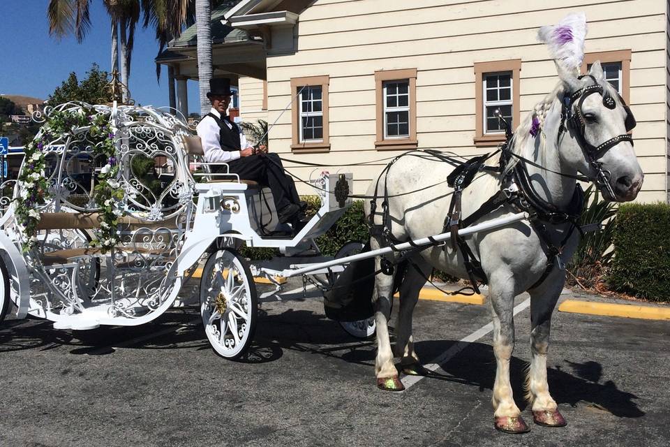 Savannah Rose Carriages