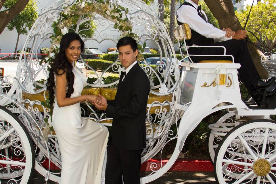 Savannah Rose Carriages