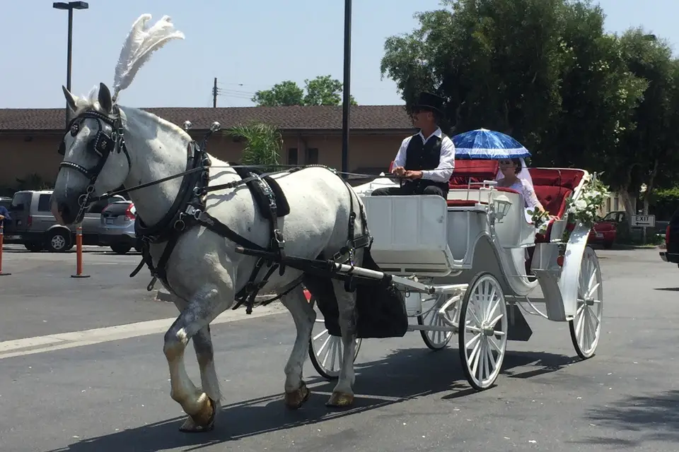 Horse and best sale carriage ride prices