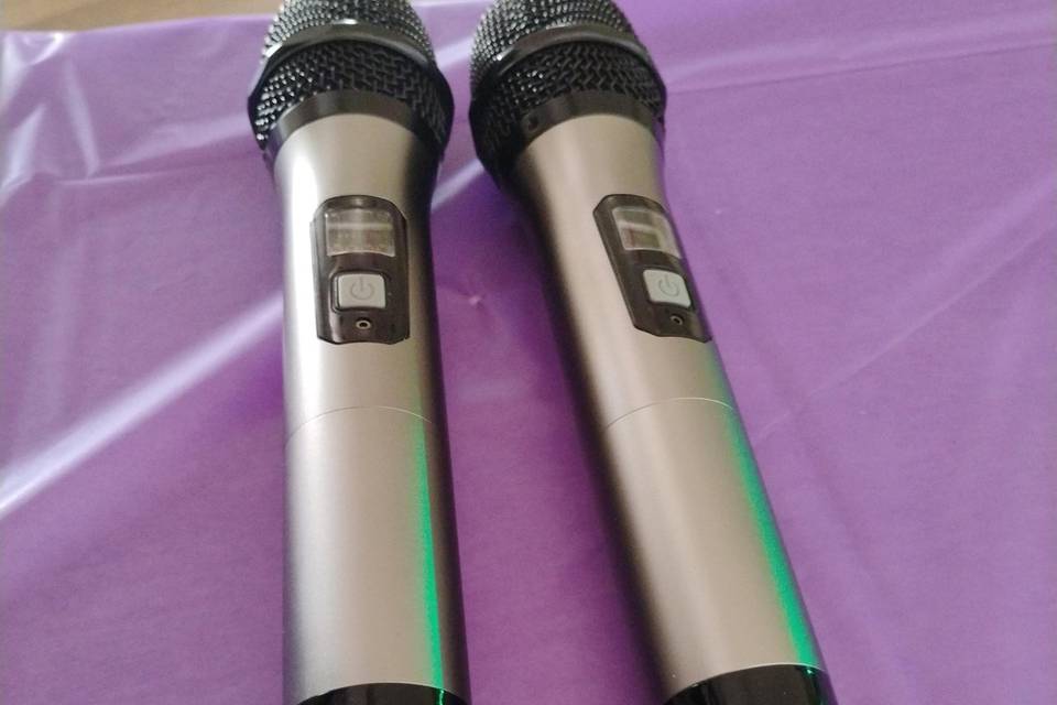 Two wireless mics included