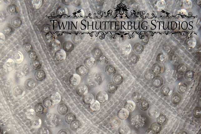 Twin Shutterbug Studios