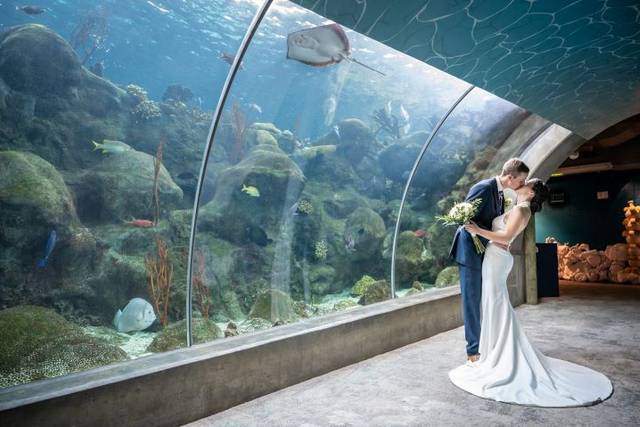 The Florida Aquarium - Venue - Tampa, FL - WeddingWire