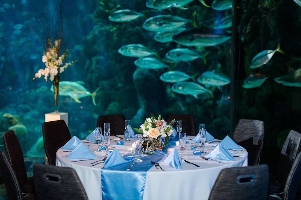 Riverwalk Cafe & Event Venue at Shreveport Aquarium