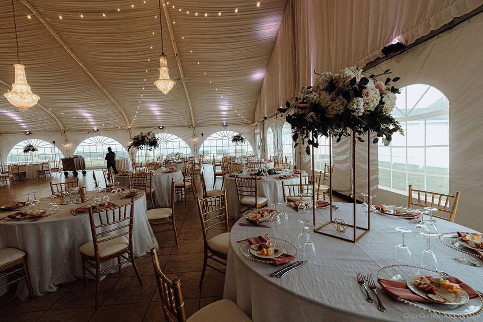 Reception in tented vista ballroom