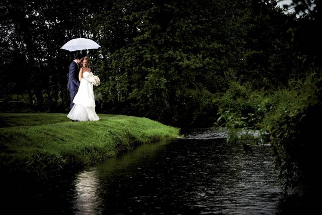 Romantic Rains