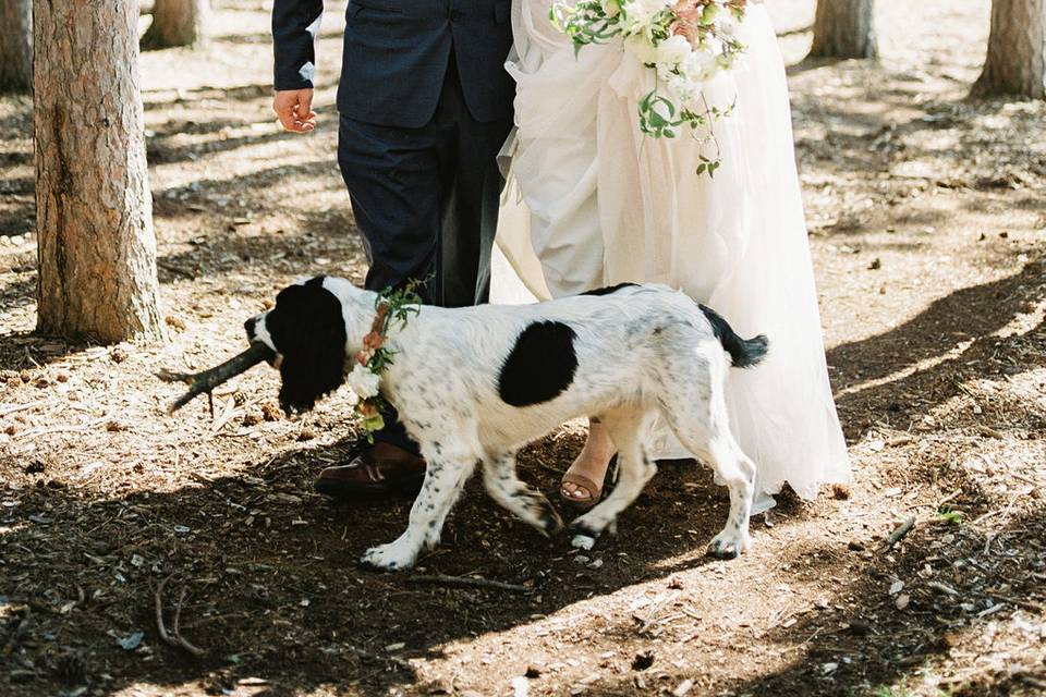 Tented Outdoor Wedding