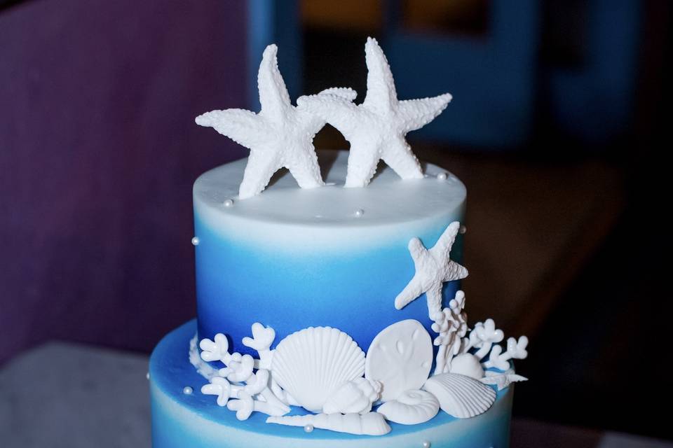 Ombre navy cake