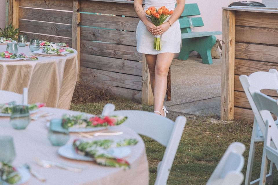 Haley's Court