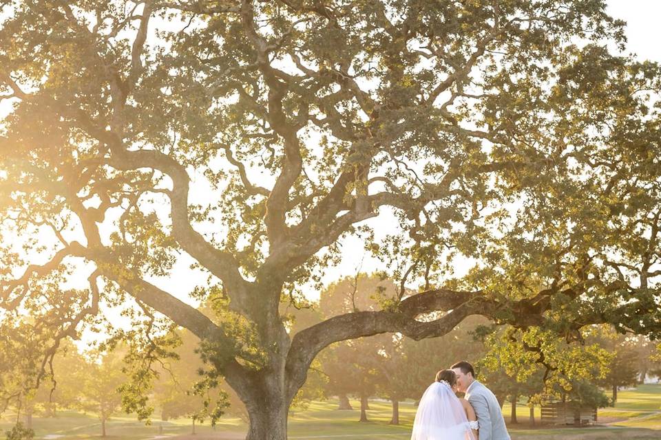 SRGCC Couple Under Tree