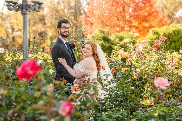 Beautiful Rose Garden
