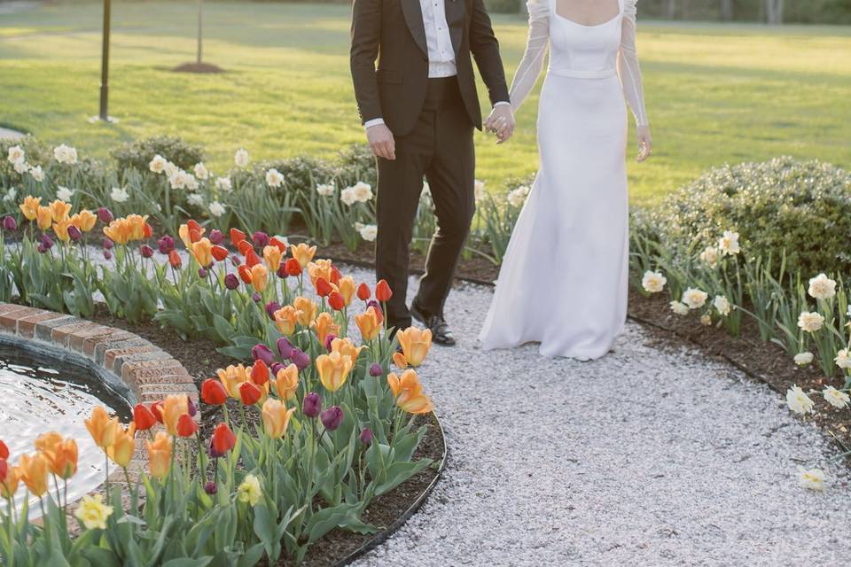 Tulips & Sunsets