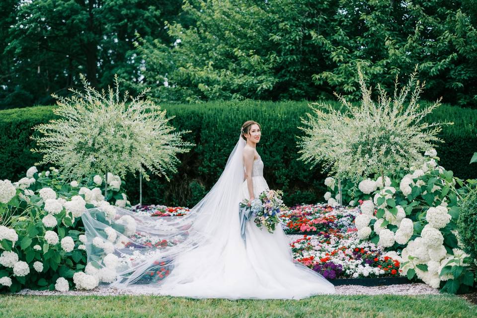 Stunning Bride in Gardens