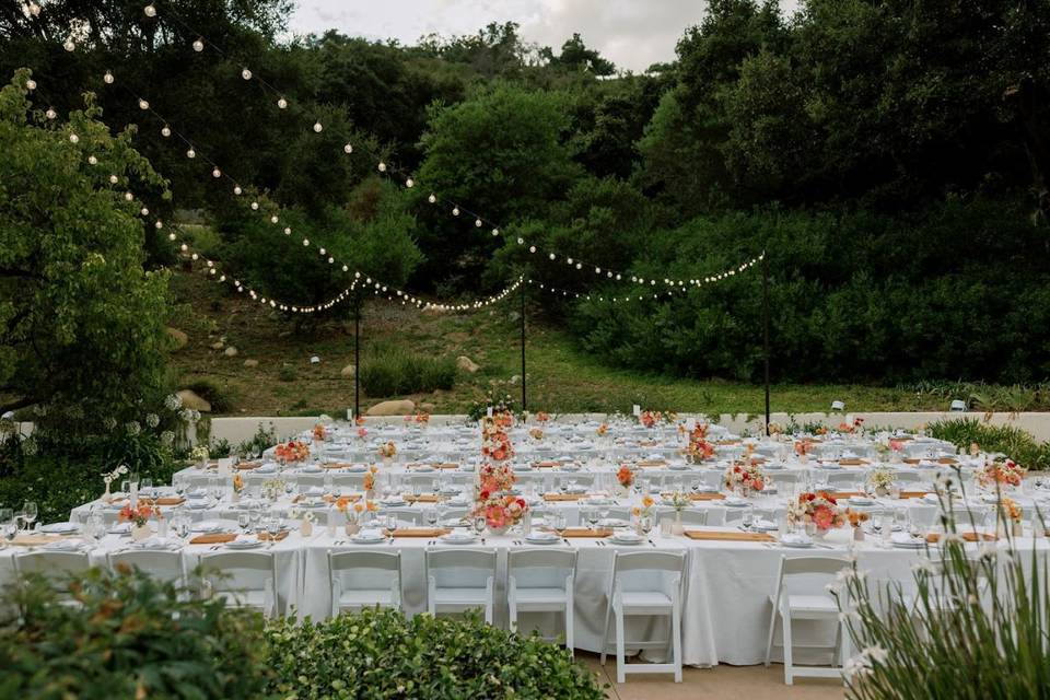 Long guest tables at reception