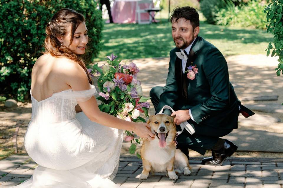 Canine ring bearer