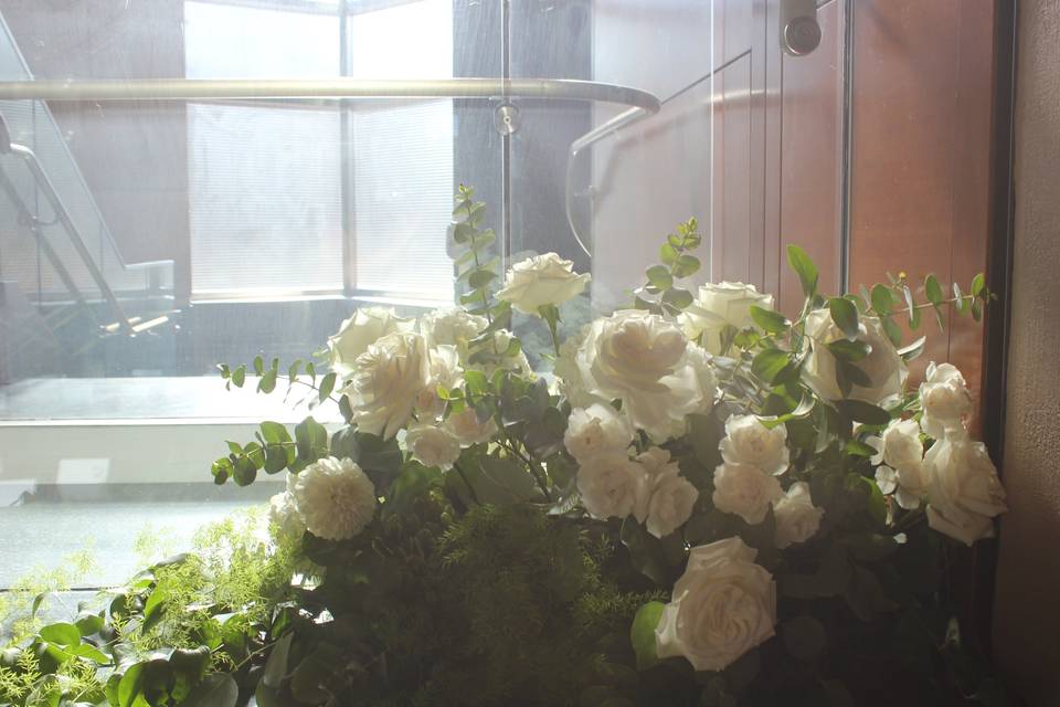 IMG_1514.jpeg