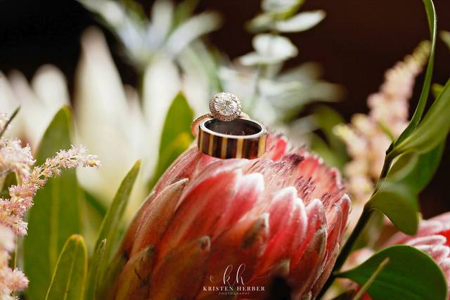 Proteas are the best