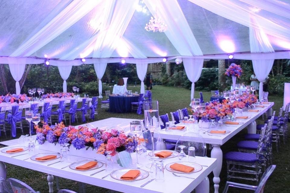 Terri Myrie Events