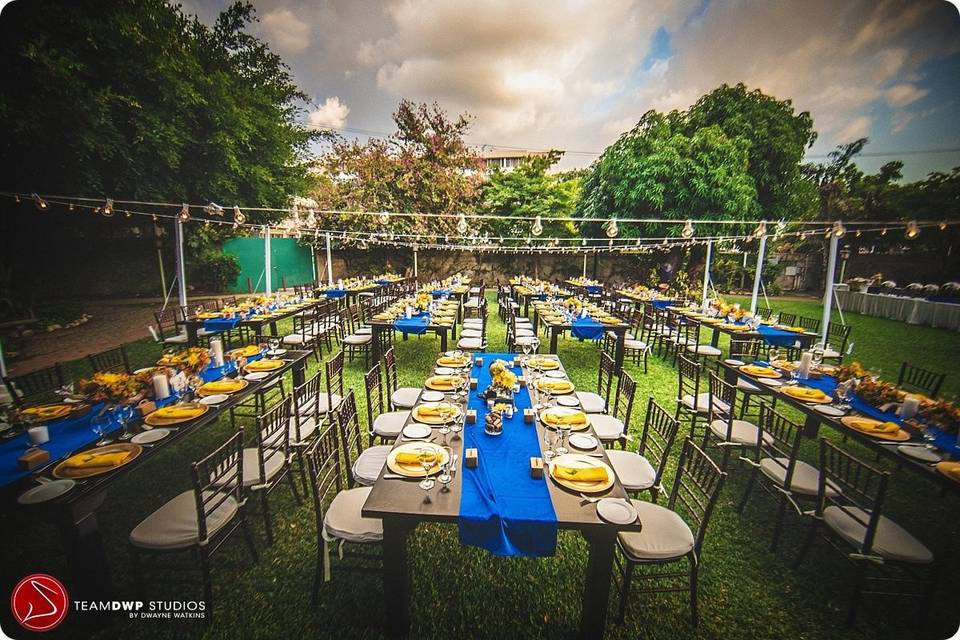 Outdoor reception setup