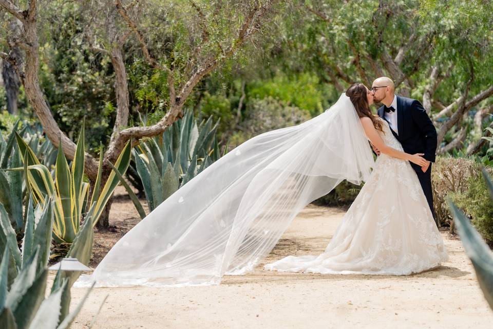 Bride and Groom Portrait