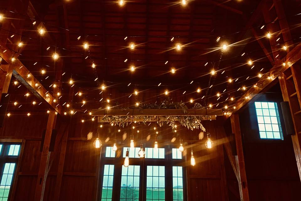 Festoon lights