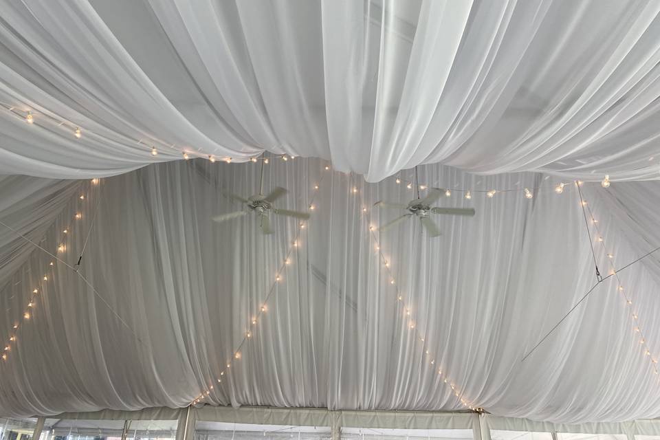 Tent Draping and Festoon Light