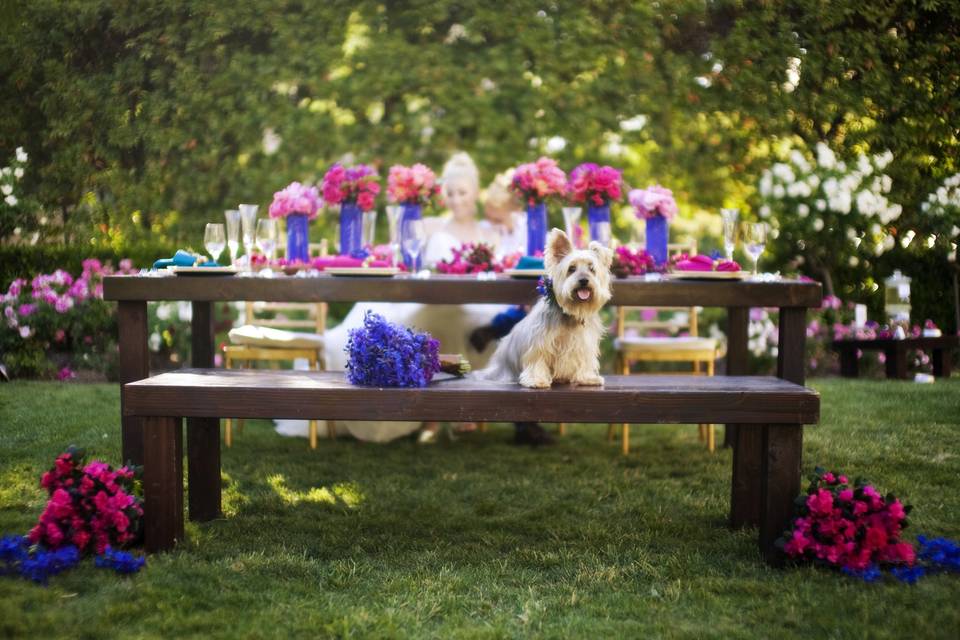 Couple's dog creative portrait