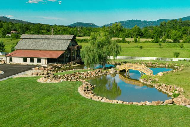 Wonder Meadows at Cove Mountain